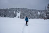 ��Meadow at the base of Mt Hood Express Lift