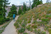 Paradise Park Image Thumbnail