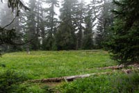 Paradise Park Image Thumbnail