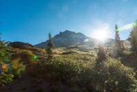 Paradise Park Image Thumbnail