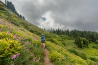 Paradise Park Image Thumbnail