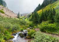 Paradise Park Image Thumbnail