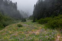Paradise Park Image Thumbnail