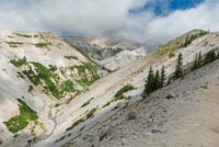 Paradise Park Image Thumbnail