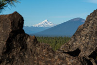 Peterson Ridge Loop Image Thumbnail