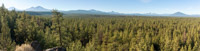 Peterson Ridge Loop Image Thumbnail