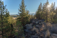 Peterson Ridge Loop Image Thumbnail