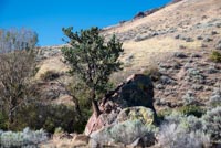 Pike Creek Image Thumbnail