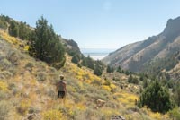 Pike Creek Image Thumbnail