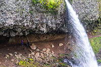 Ponytail Falls Image Thumbnail