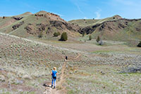 John Day Fossil Beds - Red Hill Loop Image Thumbnail