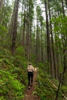 Rooster Rock Image Thumbnail