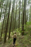 Rooster Rock Image Thumbnail