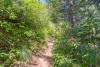 Tom Dick and Harry Mountain Image Thumbnail