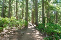 Twin Lakes Image Thumbnail
