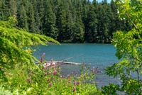 Twin Lakes Image Thumbnail